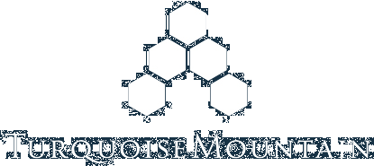 logo turquoise mountain2